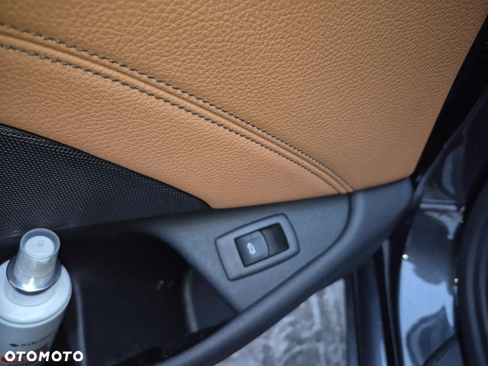 BMW Seria 5 520d Luxury Line - 33
