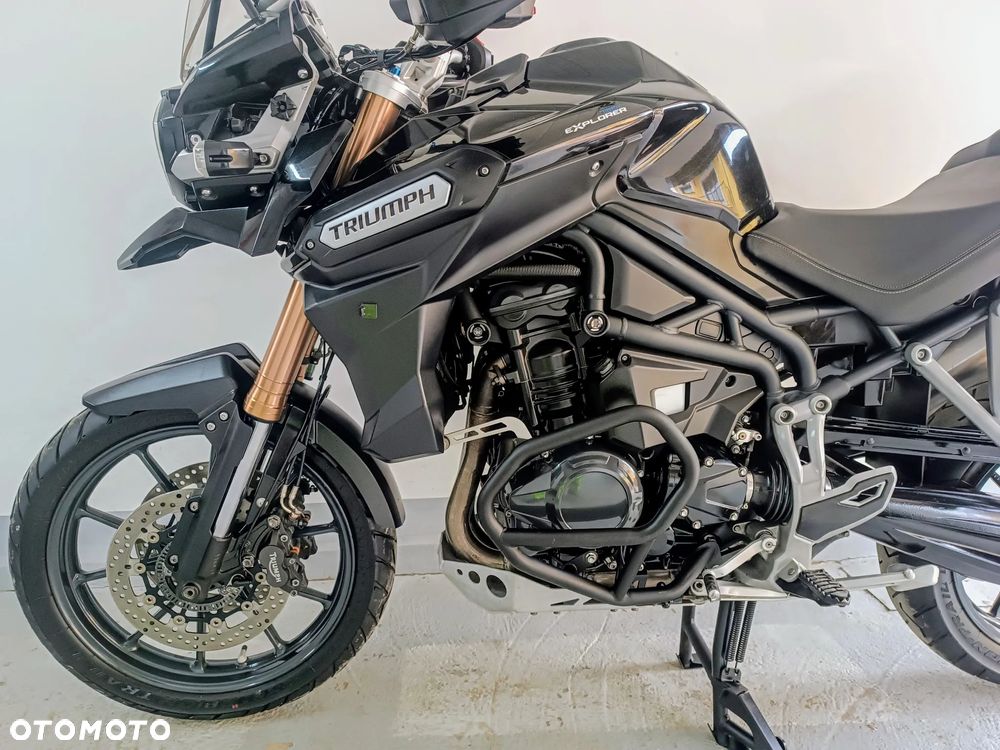 Triumph Tiger - 16