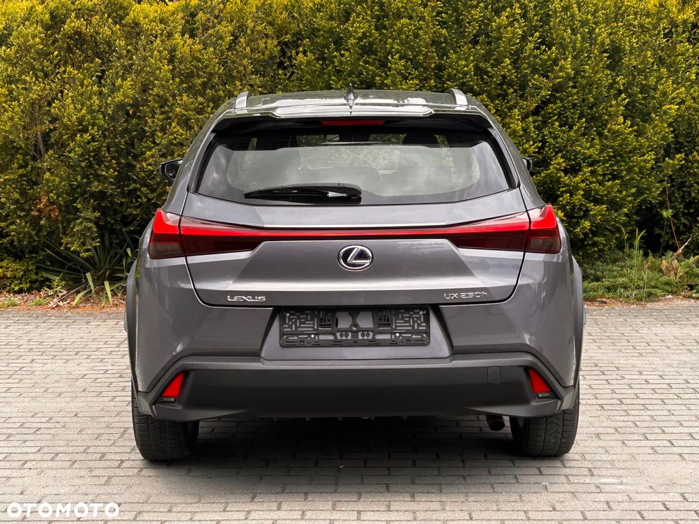 Lexus UX 250h (E-FOUR) Executive Line - 5