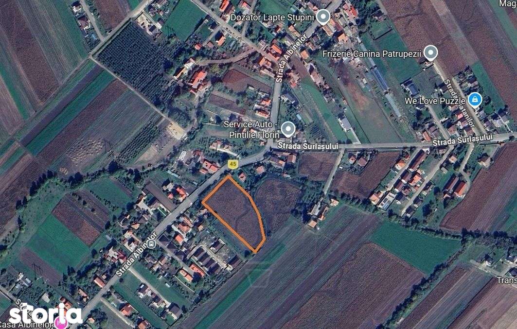 Teren intravilan 9.000 mp pentru dezvoltare rezidențială sau mixtă - Imagine principală: 2/15