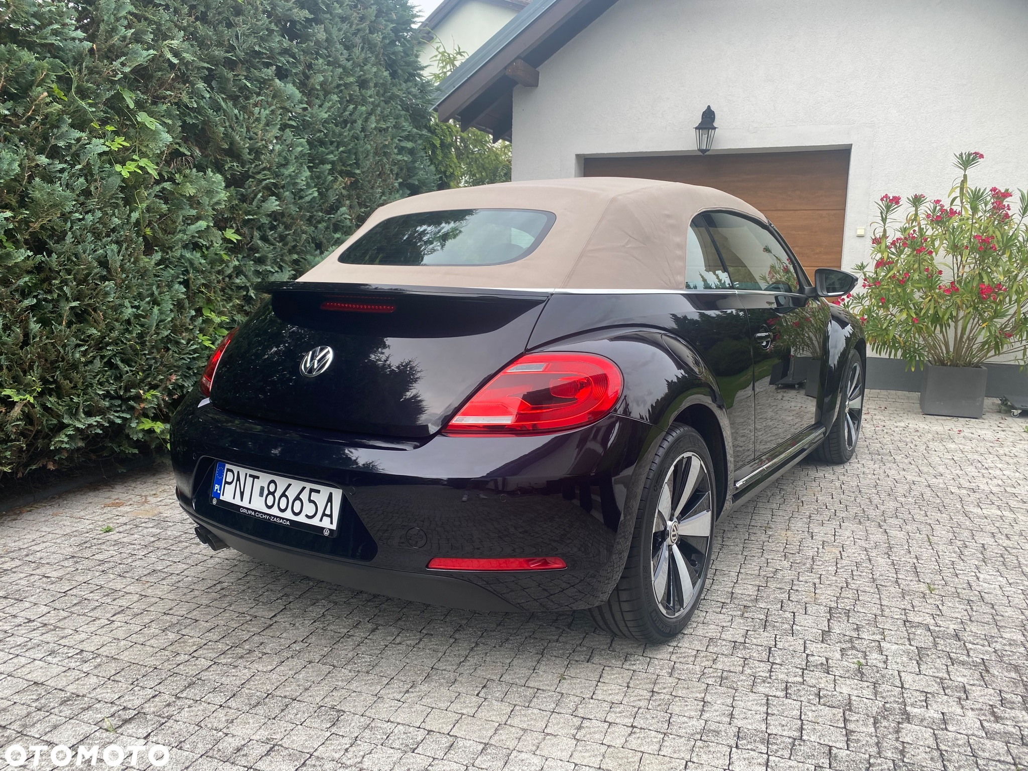 Volkswagen Beetle - 11