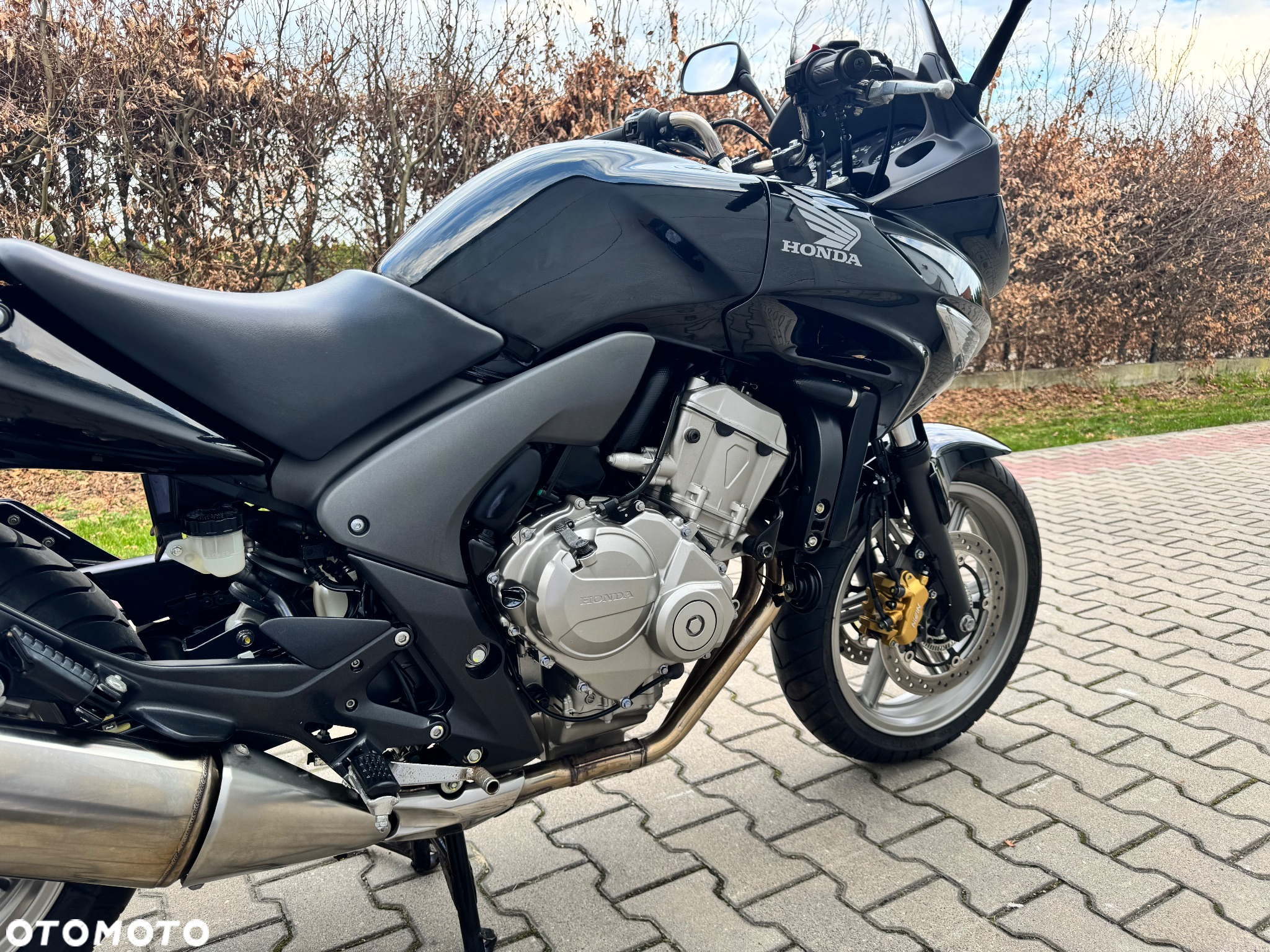 Honda CBF - 5