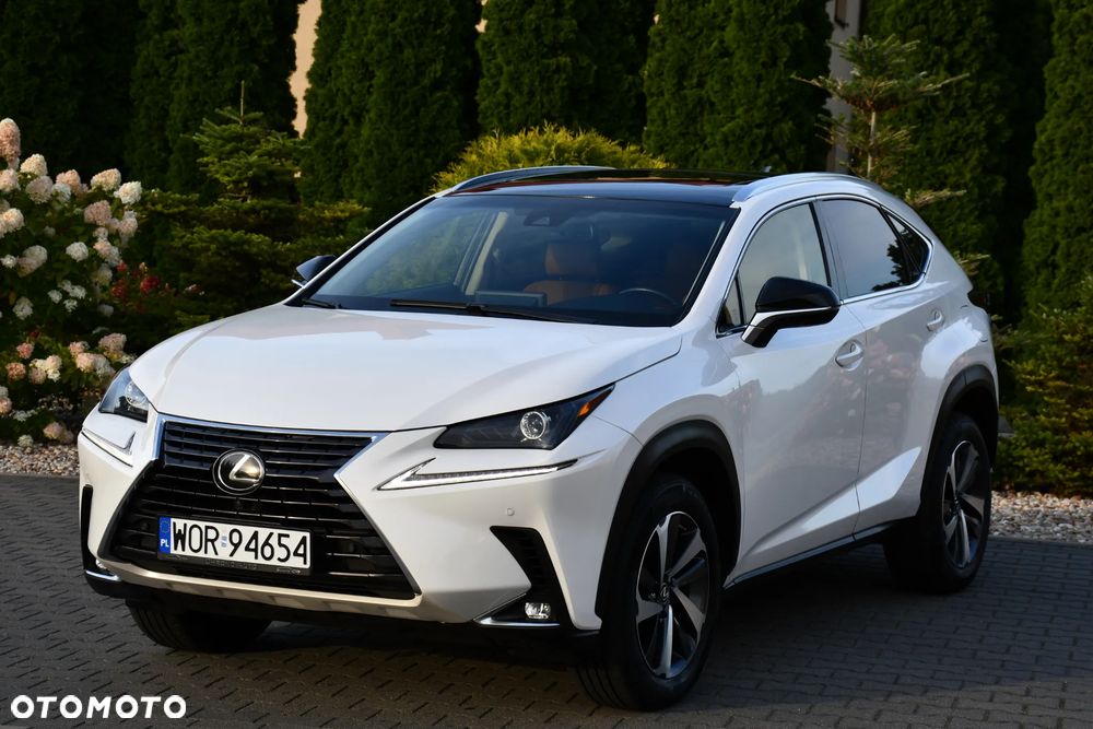 Lexus NX 300 AWD Executive Line - 3