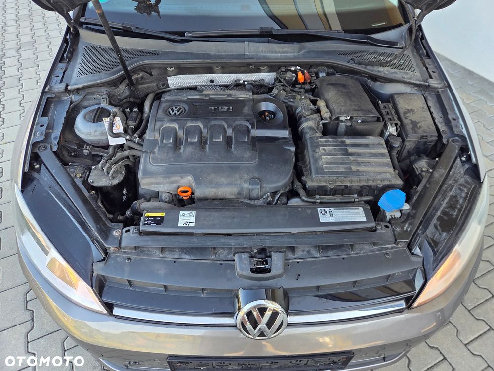 Volkswagen Golf - 18