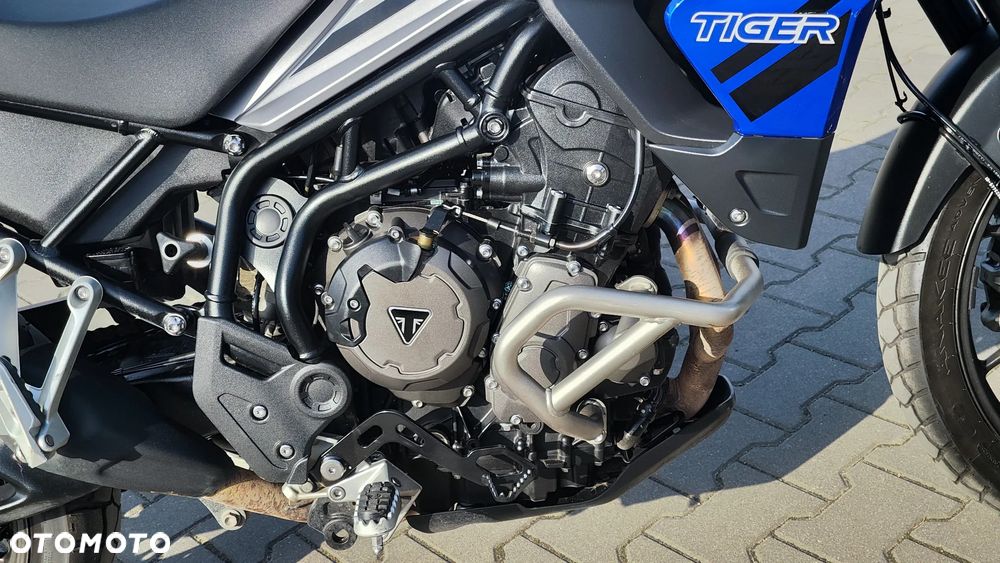 Triumph Tiger - 19