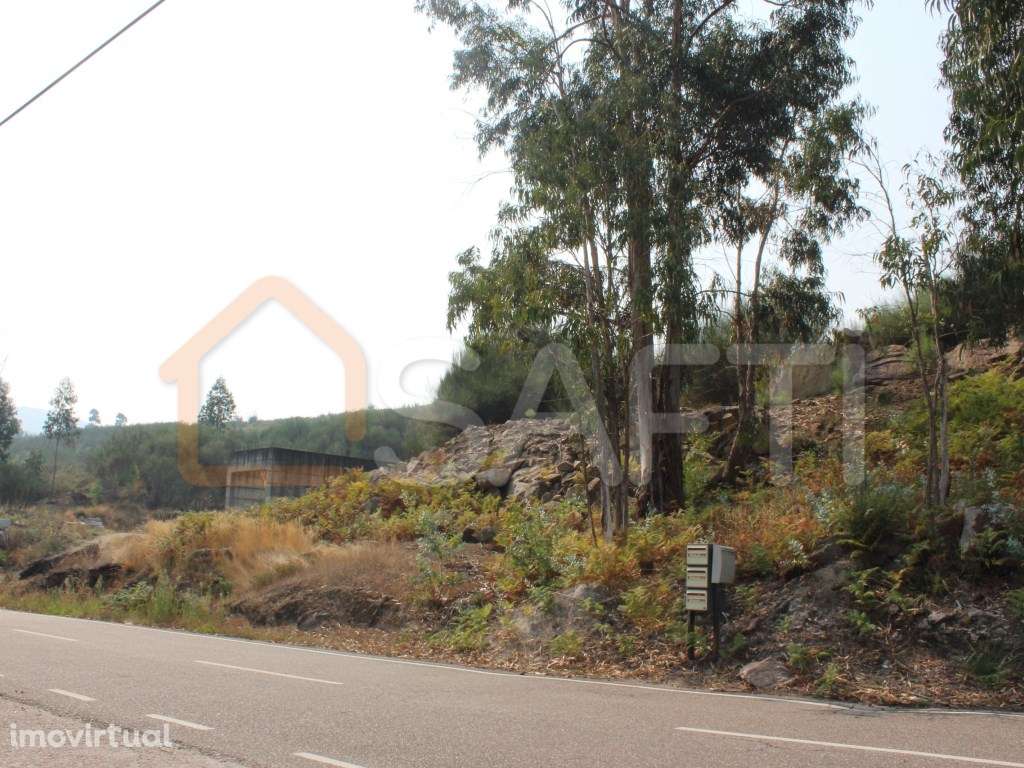 Terreno construtivo com cerca de 6400m2 - Grande imagem: 4/8