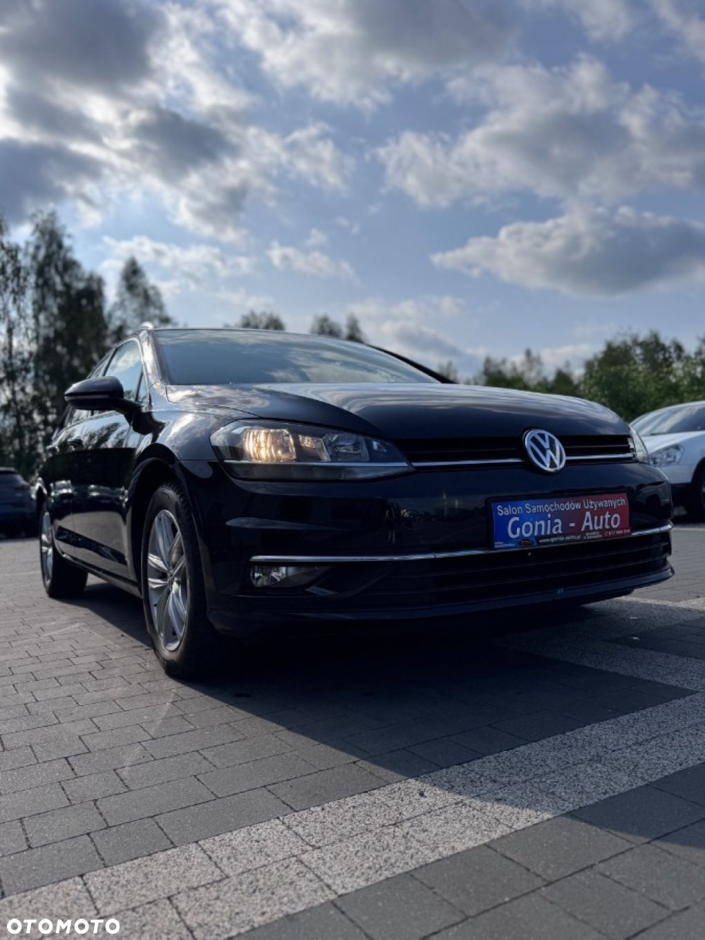 Volkswagen Golf - 39