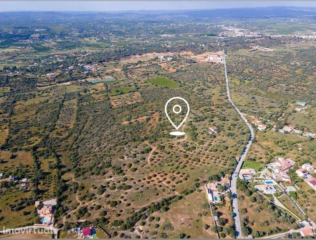 Oportunidade Única no Algarve: Quinta com Potencial para Hotel Rural / - Grande imagem: 5/15