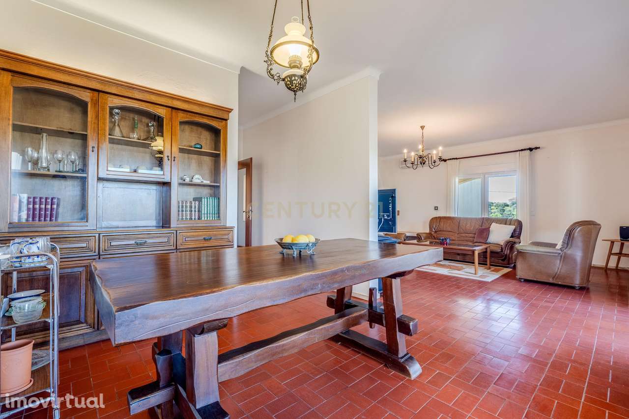 Moradia T4 térrea com garagem e terreno de quase 6.000 m², nos Salicos - Grande imagem: 5/39