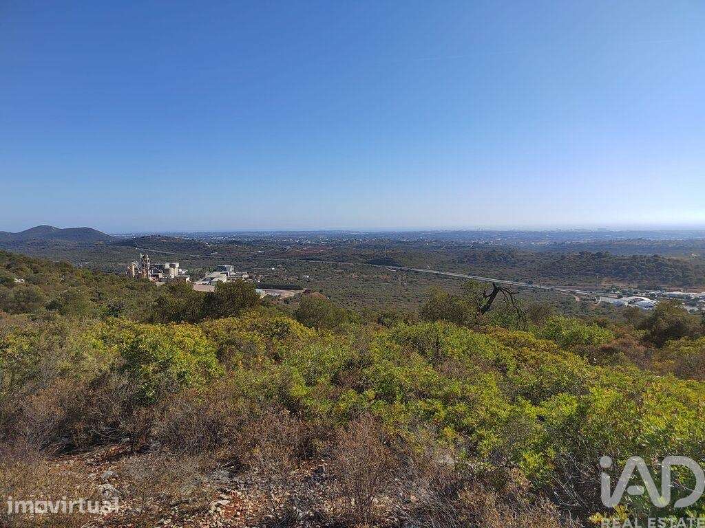 Terreno Agrícola em Loulé (São Sebastião) - Grande imagem: 2/3