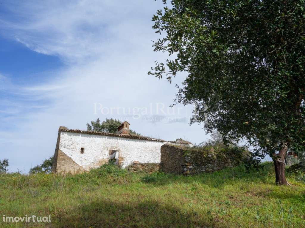 Quintinha rural com moradia T5 aprovada, em Mouriscas - Abrantes - Grande imagem: 4/18