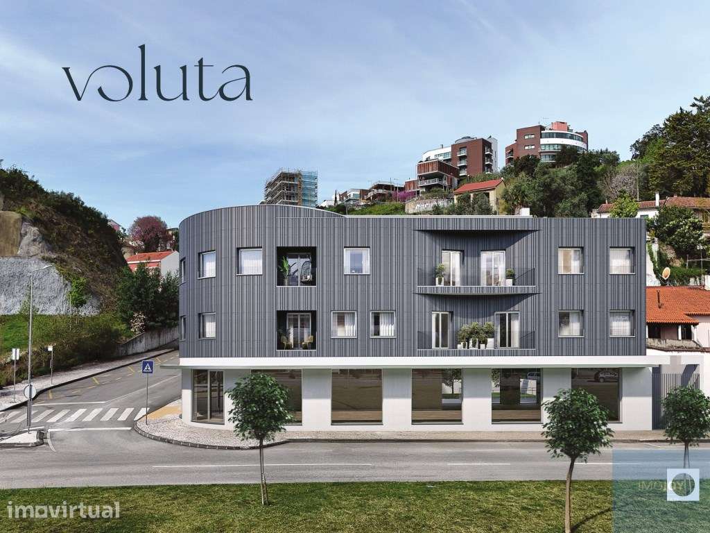 Voluta