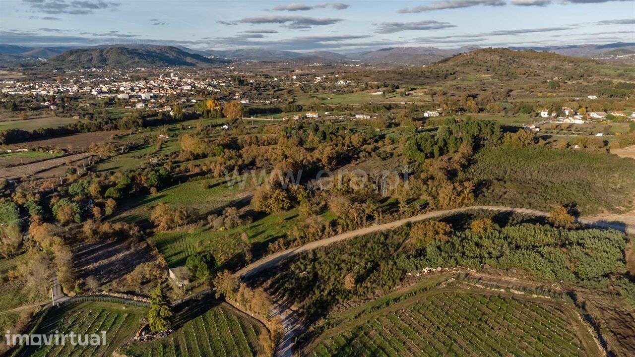 Terreno Rústico / Belmonte, Caria - Grande imagem: 3/18