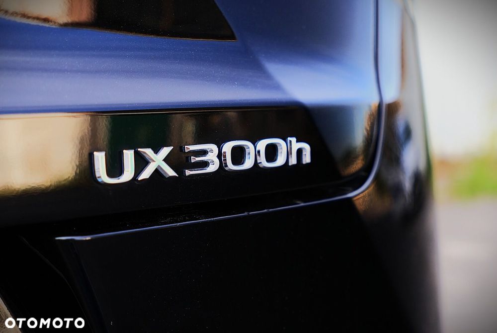 Lexus UX 300h Elegance - 22