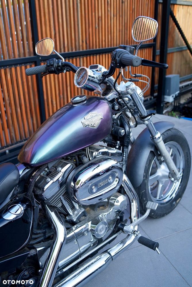 Harley-Davidson Sportster Custom 1200C - 5