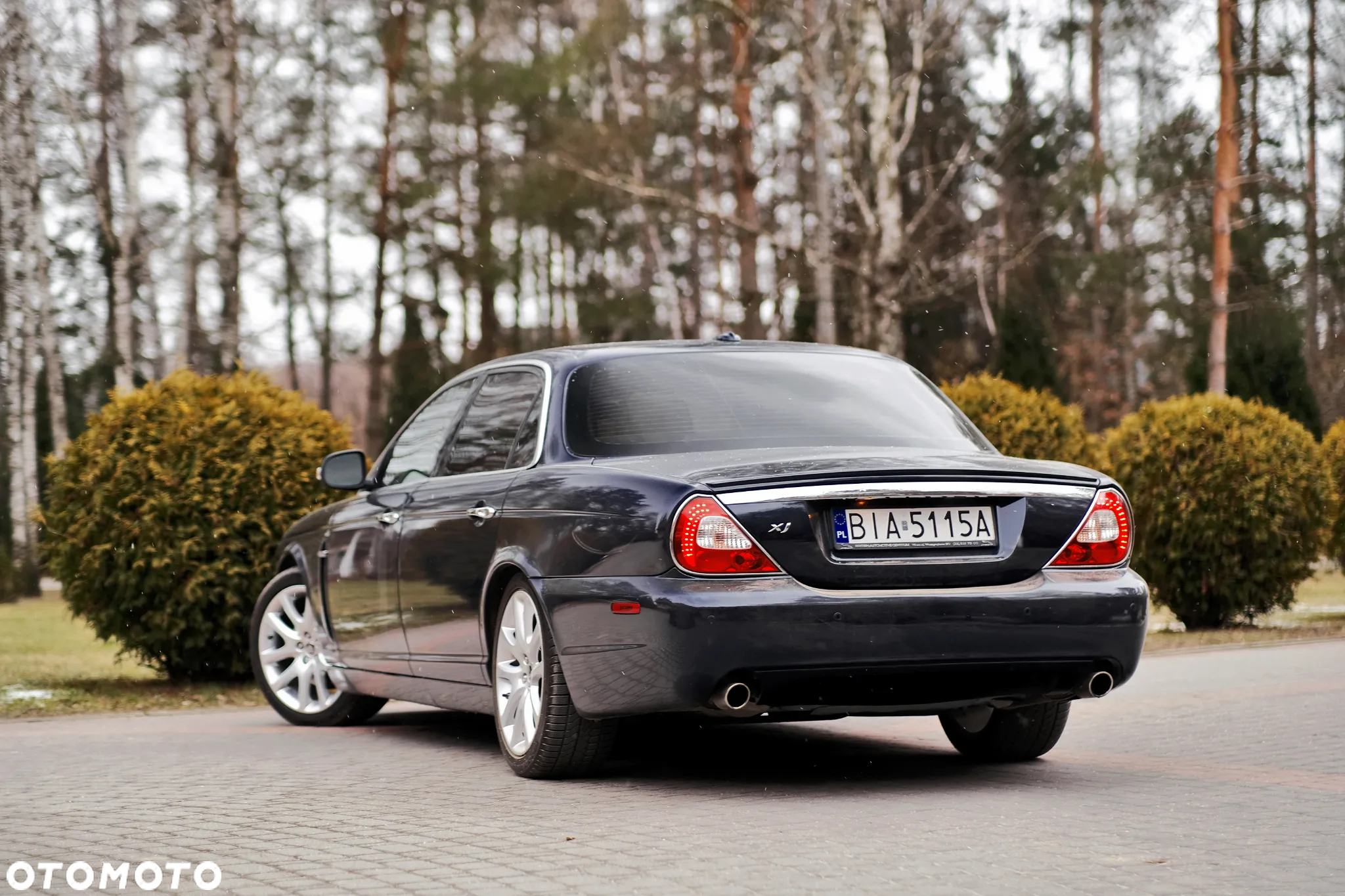 Jaguar XJ XJ8 4.2 LWB Executive - 9