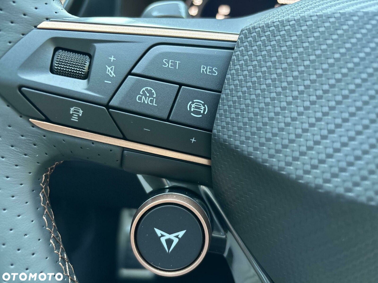 Cupra Formentor 1.5 TSI DSG - 21