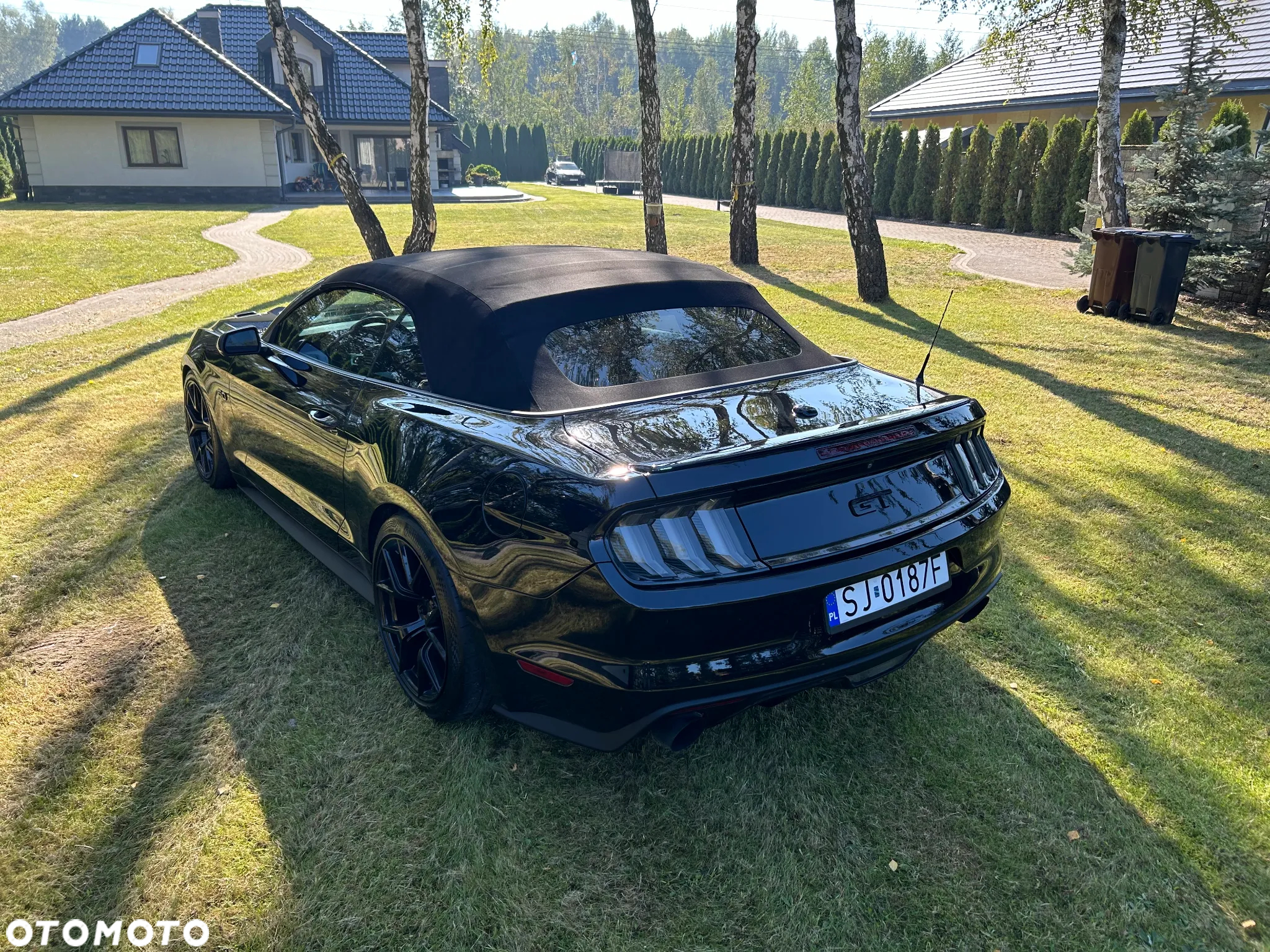 Ford Mustang - 10