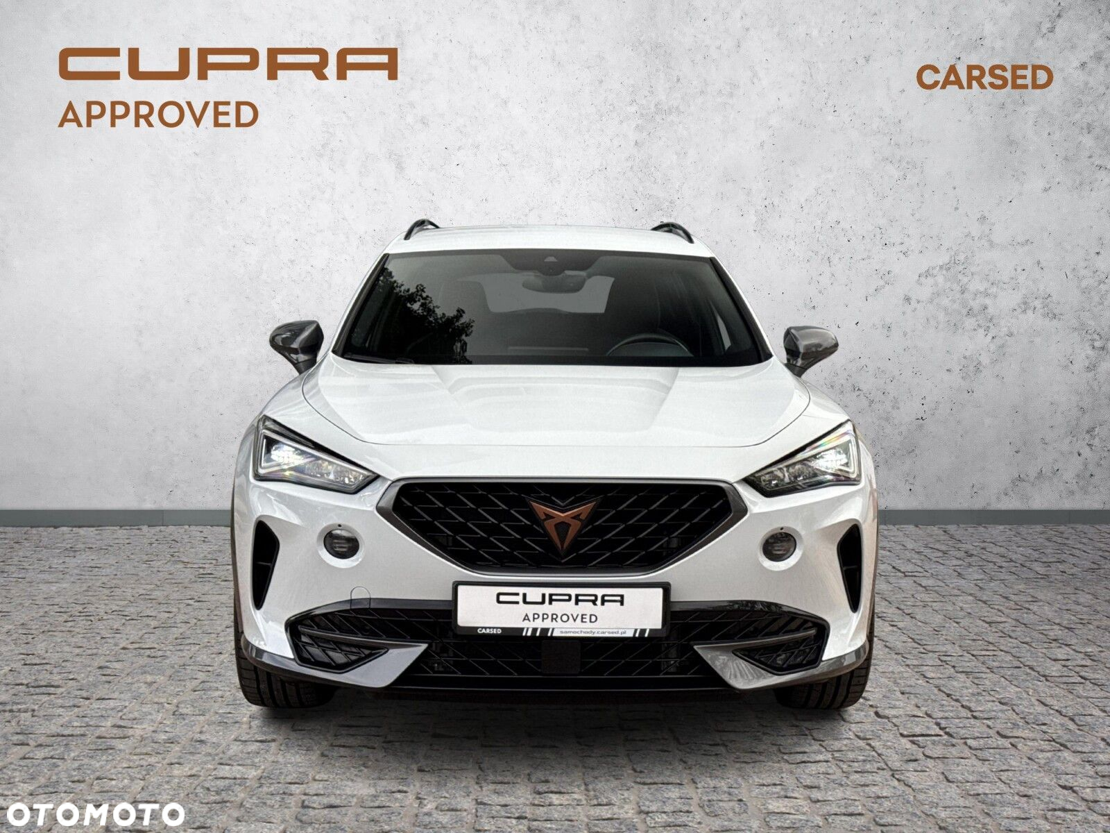 Cupra Formentor 2.0 TDI 4Drive DSG - 8