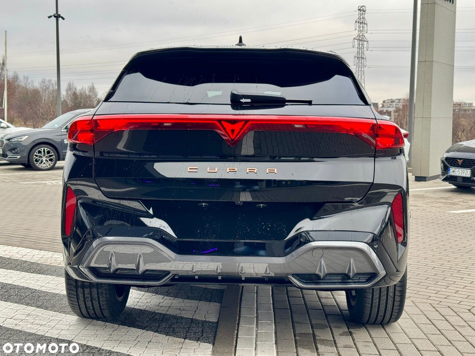 Cupra Terramar 2.0 TSI 4Drive DSG - 9