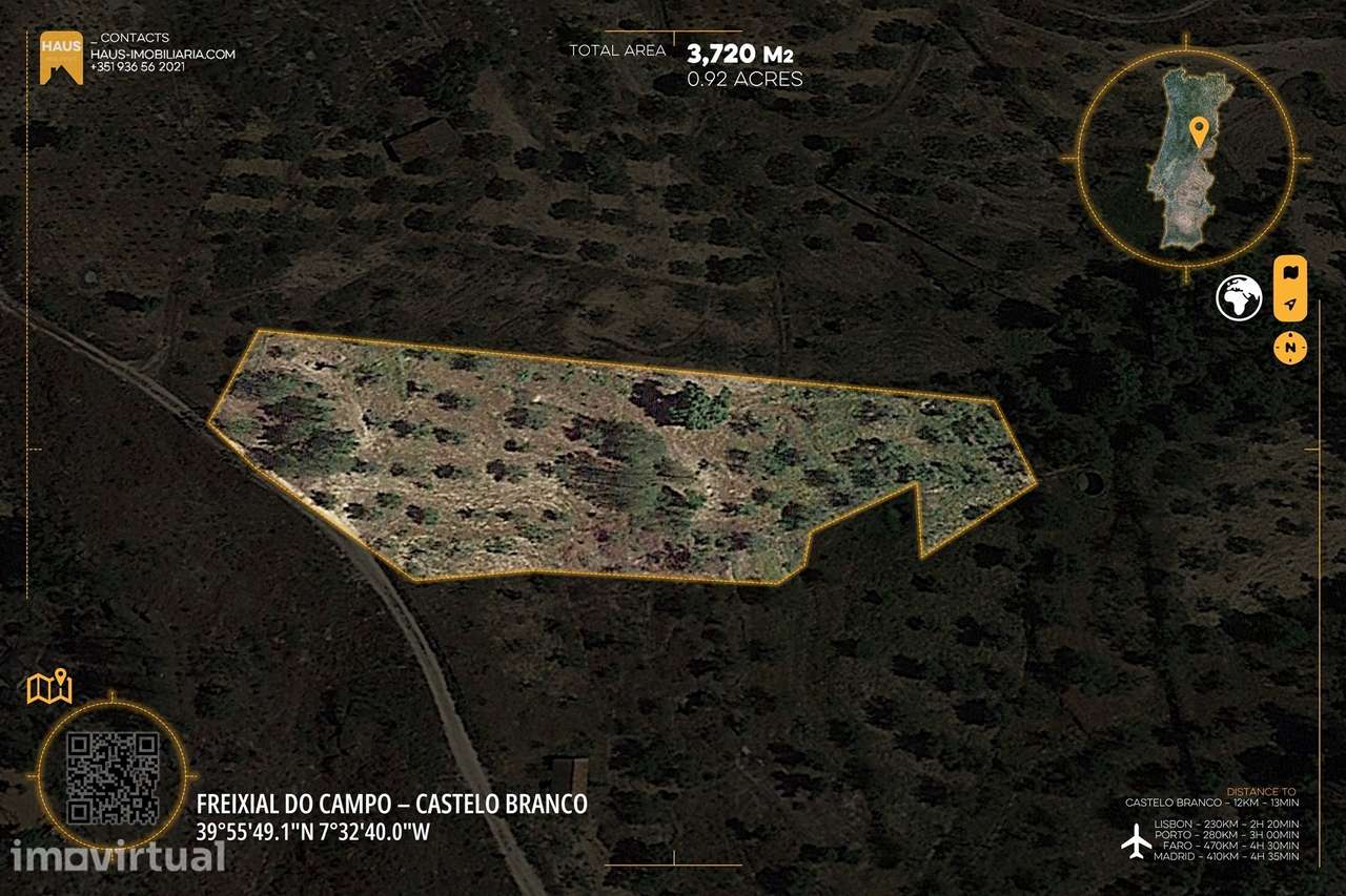 Terreno de 3.720m² com Poço e Olival | Castelo Branco - Grande imagem: 3/21