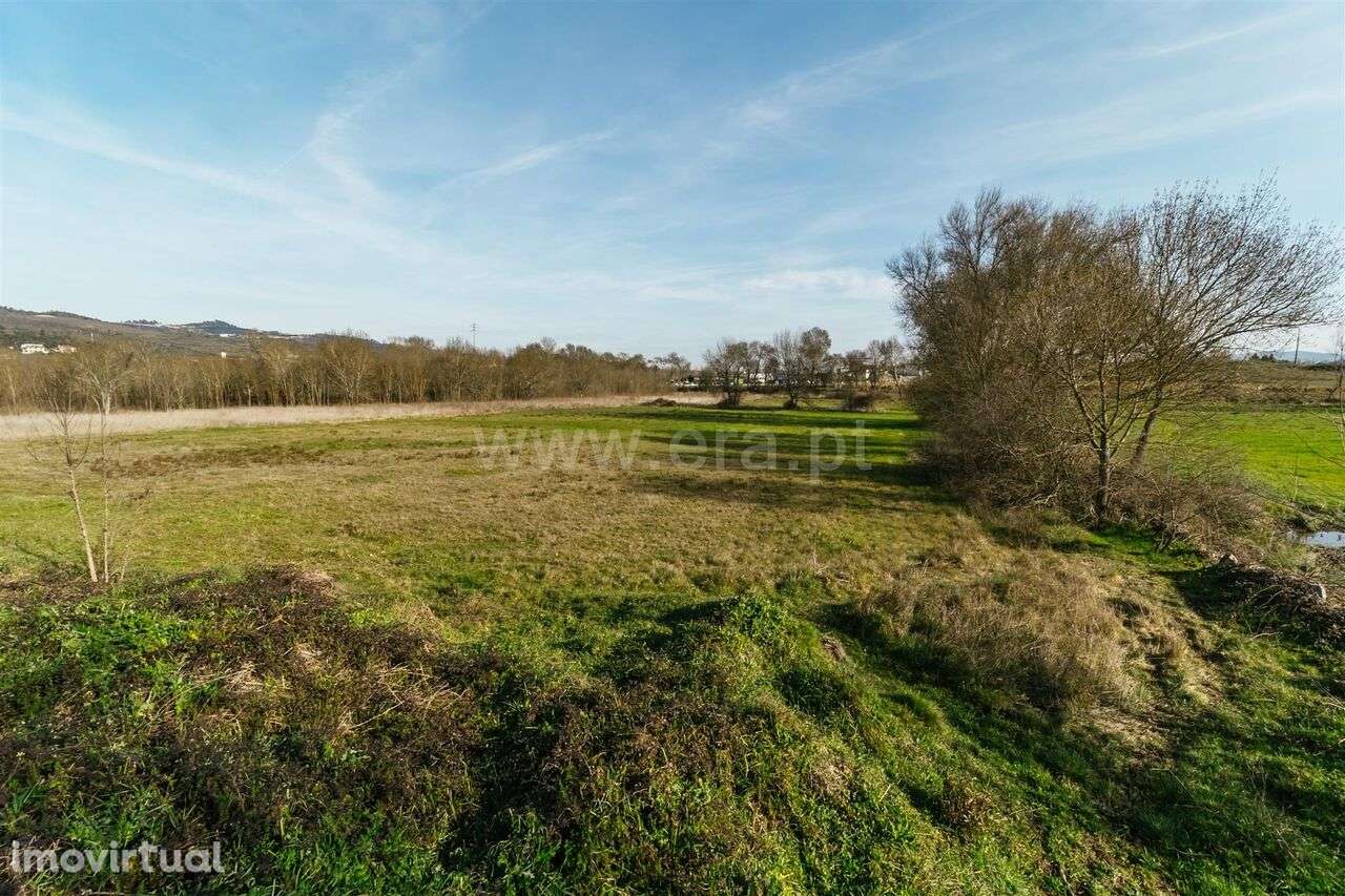 Terreno / Fundão, Alcaria - Grande imagem: 3/17