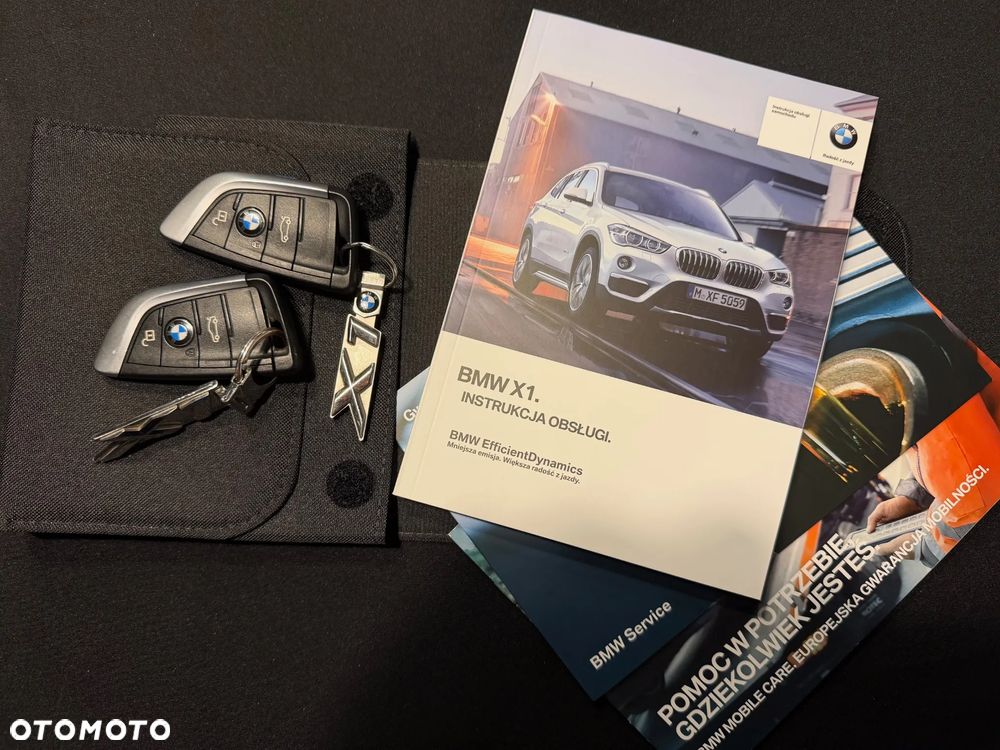 BMW X1 xDrive20d M Sport - 18