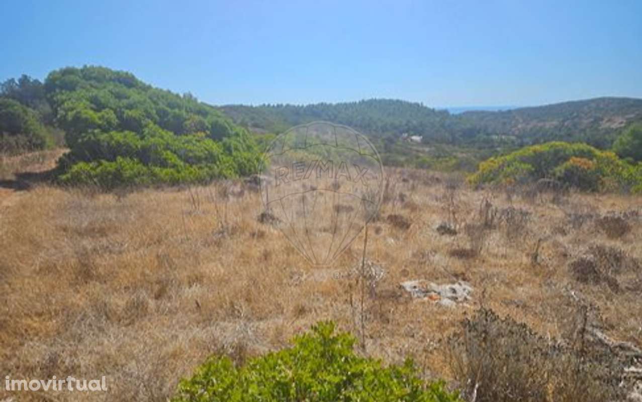 Terreno  para venda - Grande imagem: 3/7