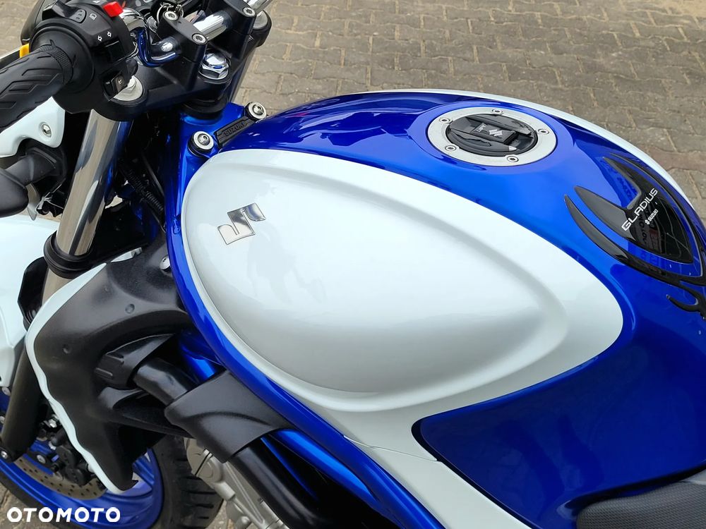 Suzuki Gladius - 18