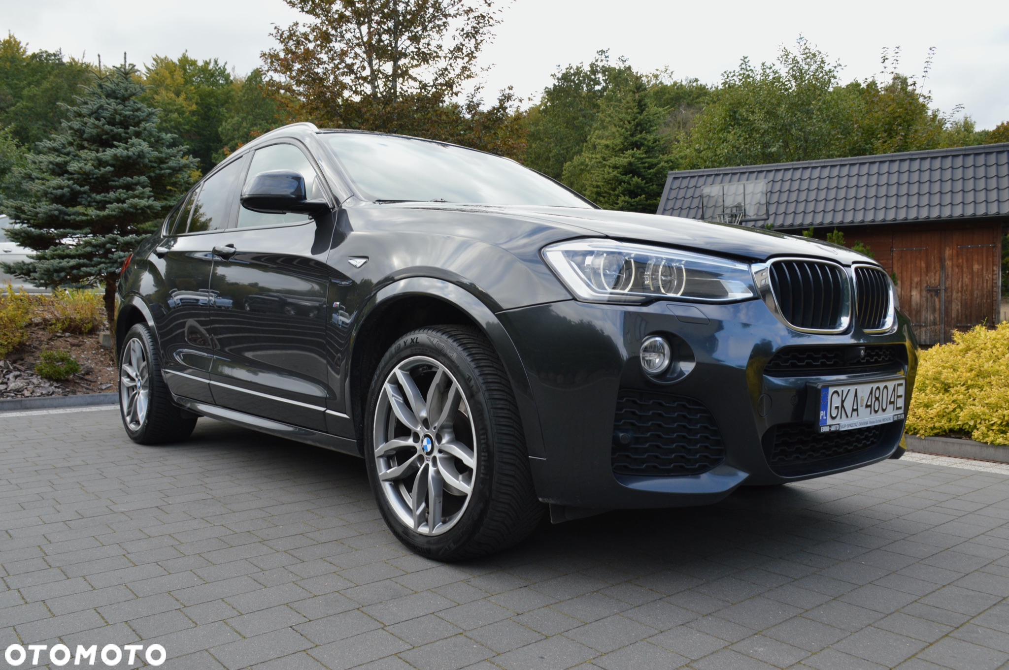 BMW X4 xDrive20d Edycja M Sport - 10