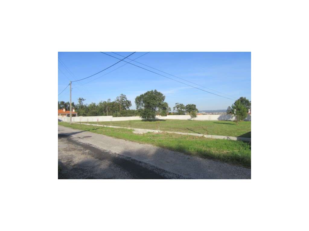 Terrenos para construção na zona de Monte Real - Grande imagem: 4/5