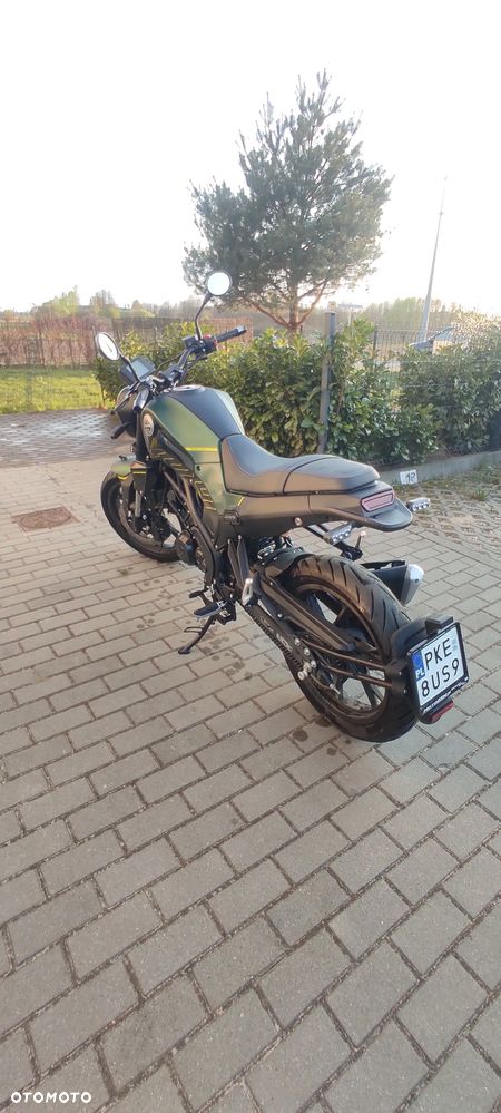 Benelli Leoncino - 2