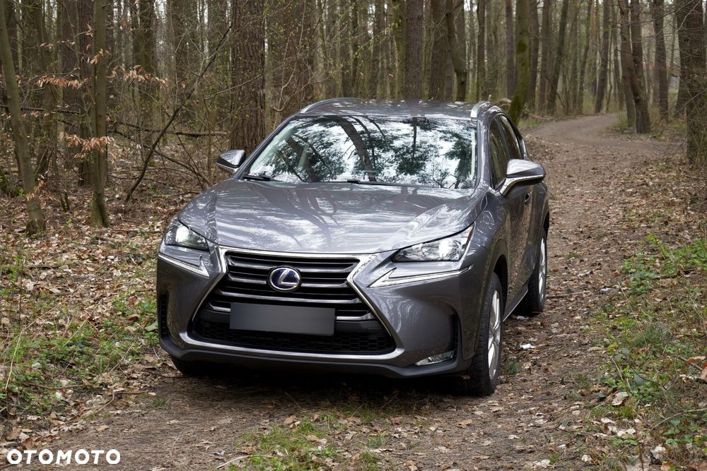 Lexus NX 300h Elegance AWD - 2