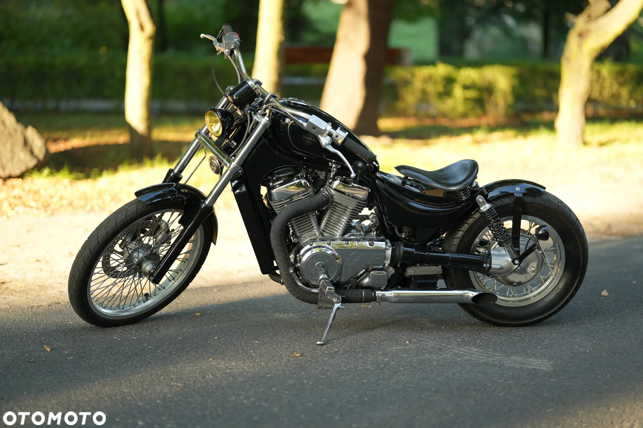 Suzuki Intruder - 3