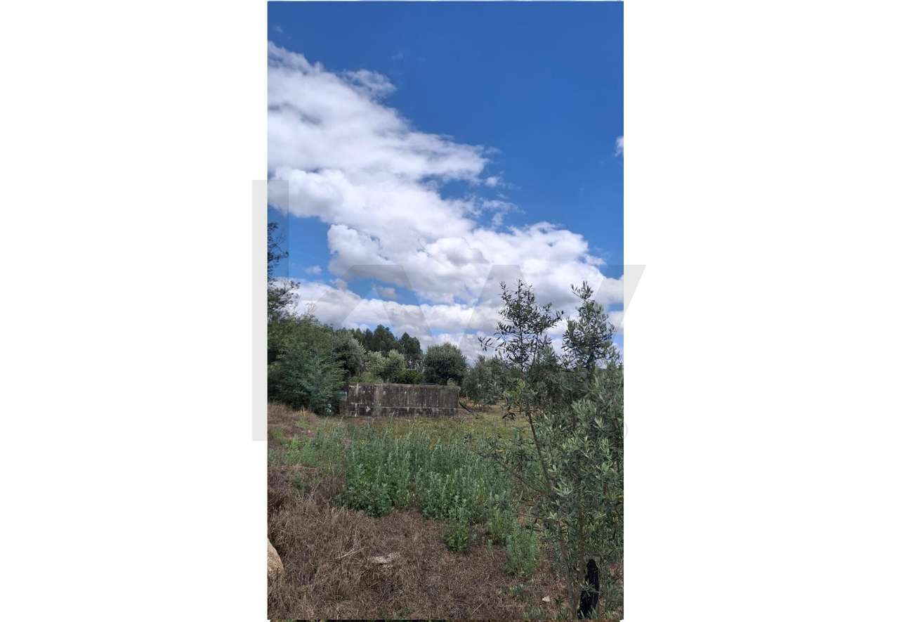 Terreno em Lageosa do Dão - Grande imagem: 2/8