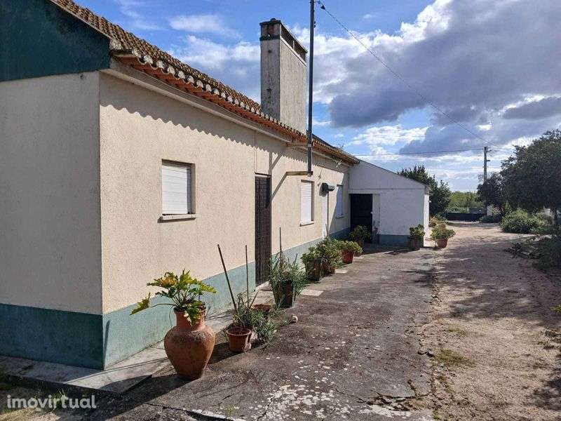 Moradia T3 inserida em lote de terreno de 2700 m2 - Coruche - Grande imagem: 4/7