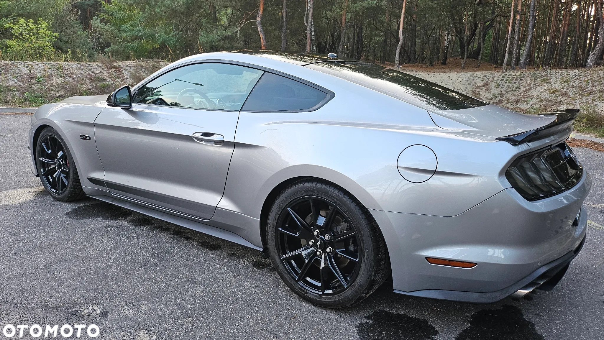 Ford Mustang 5.0 V8 GT - 10