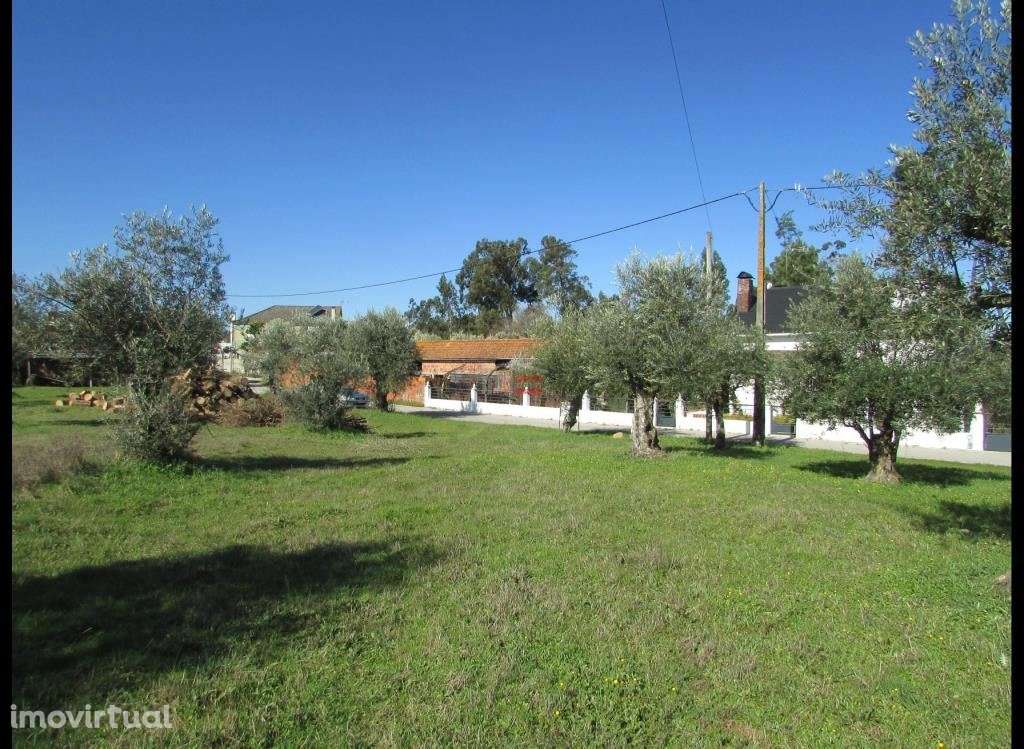 Terreno 800m2 - Grande imagem: 3/6