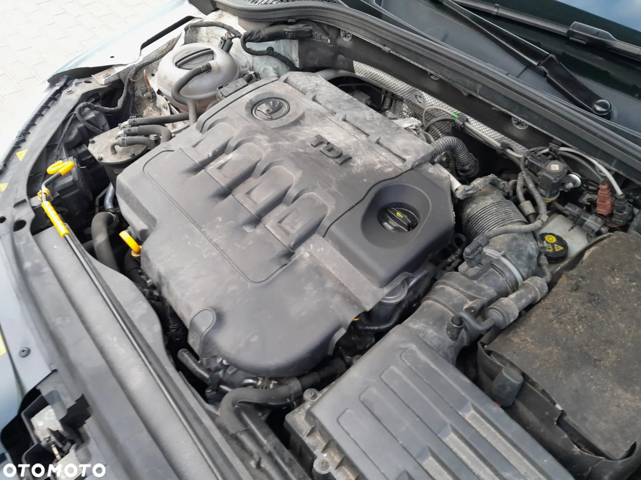 Skoda Octavia 2.0 TDI DSG Premium Edition - 20