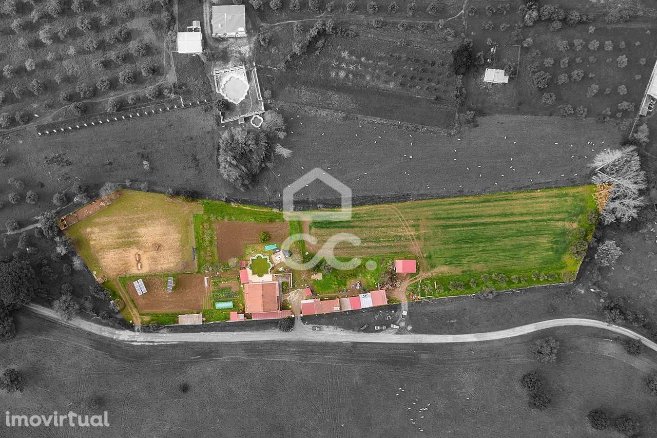 Quinta com 1,35ha c/ Moradia T7, Anexo e Piscina | Portel - Grande imagem: 4/60