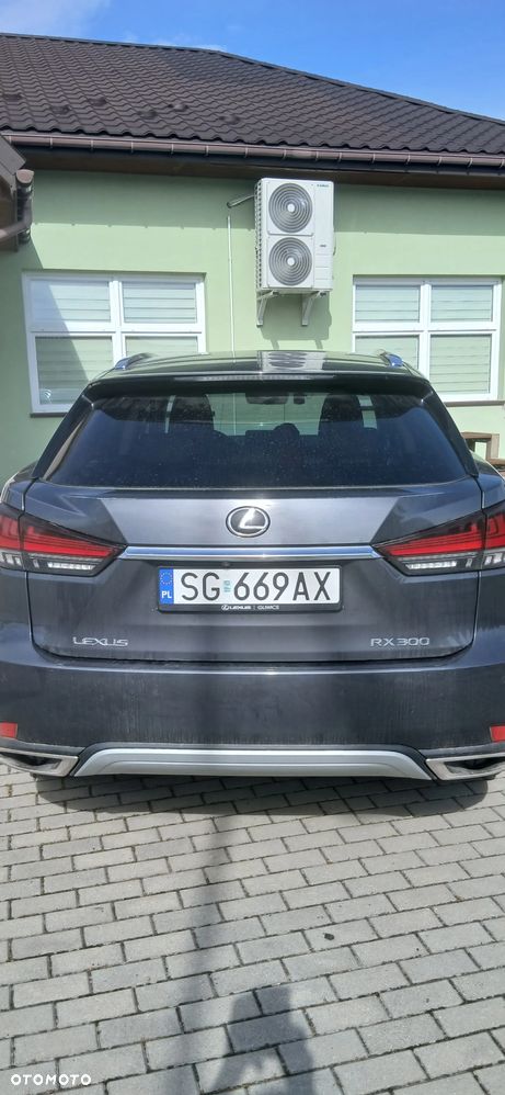 Lexus RX 300 Business Edition + - 11