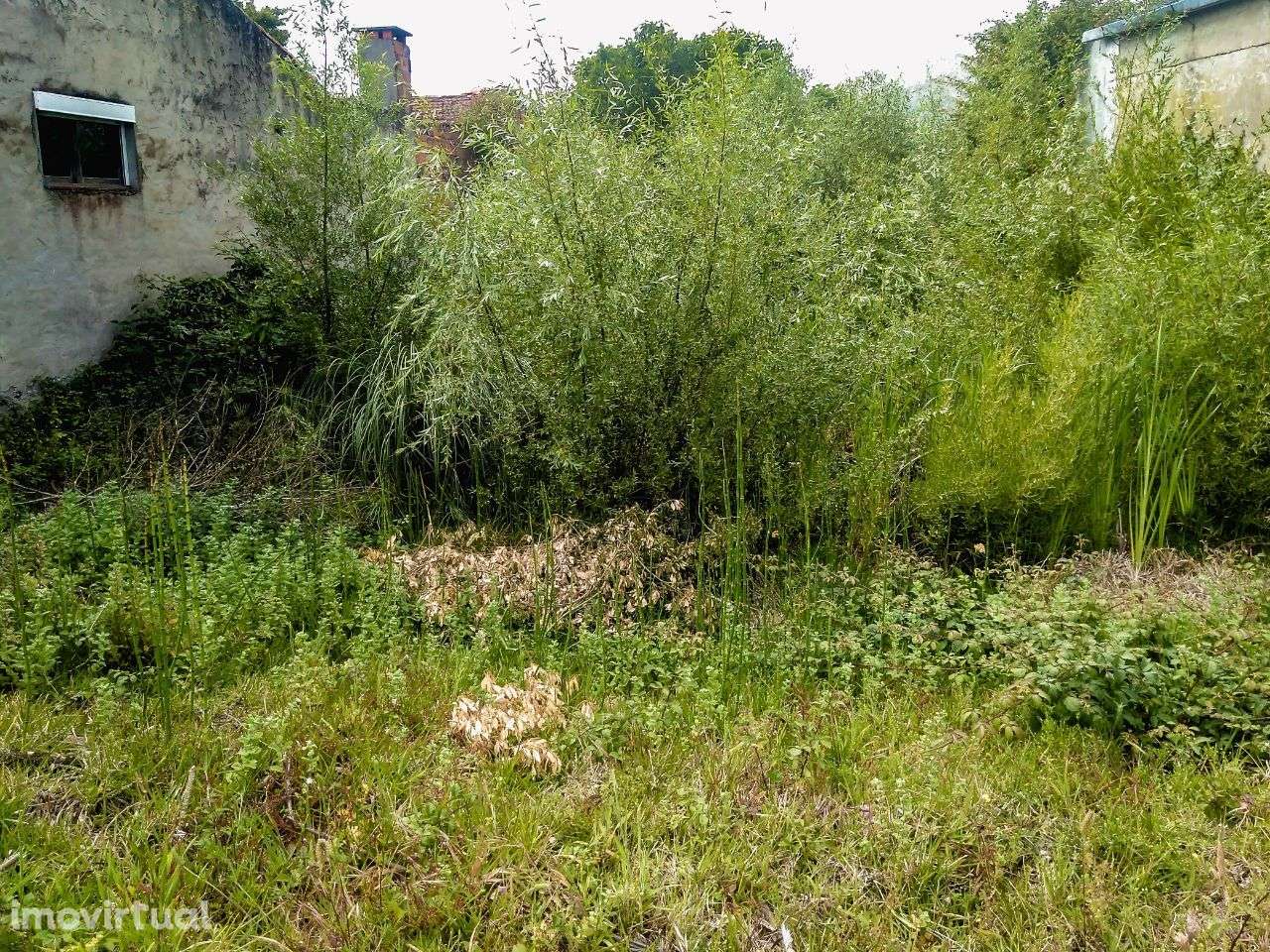 Terreno Urbano, Corredoura, Vagos - Grande imagem: 2/12