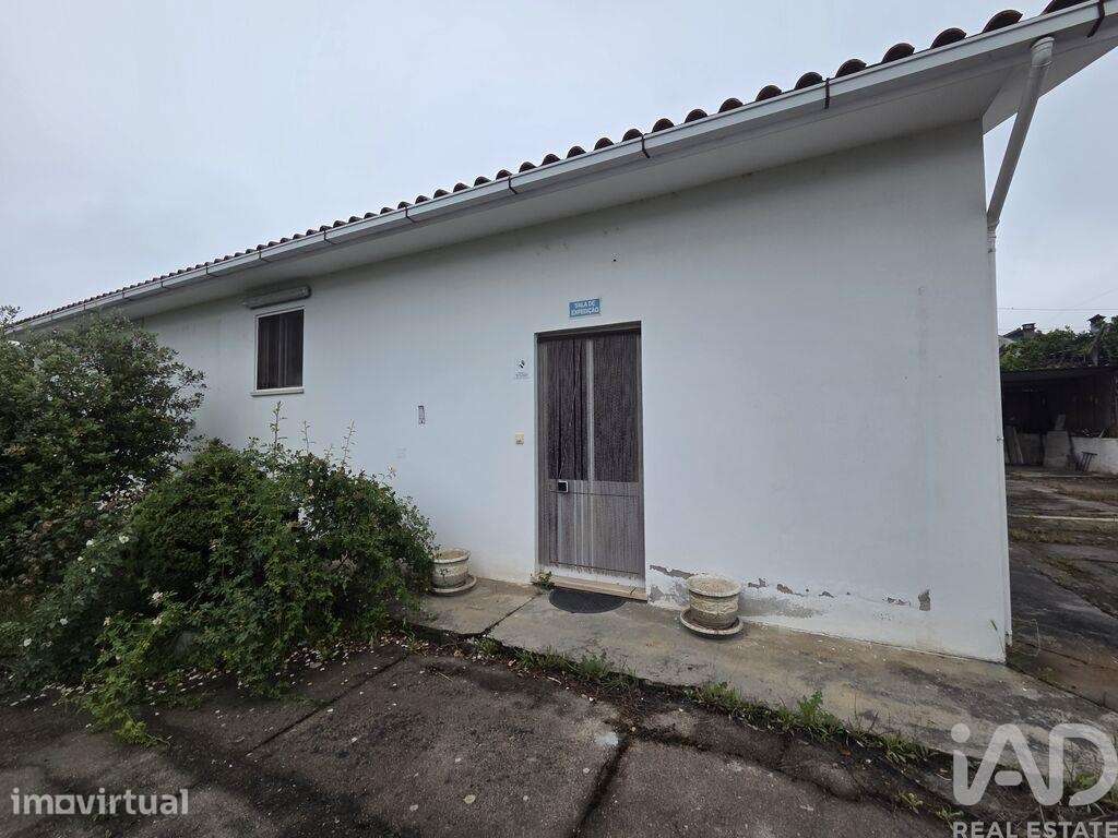 Ateliê em Pinheiro de Ázere de 400 m2 - Grande imagem: 4/22
