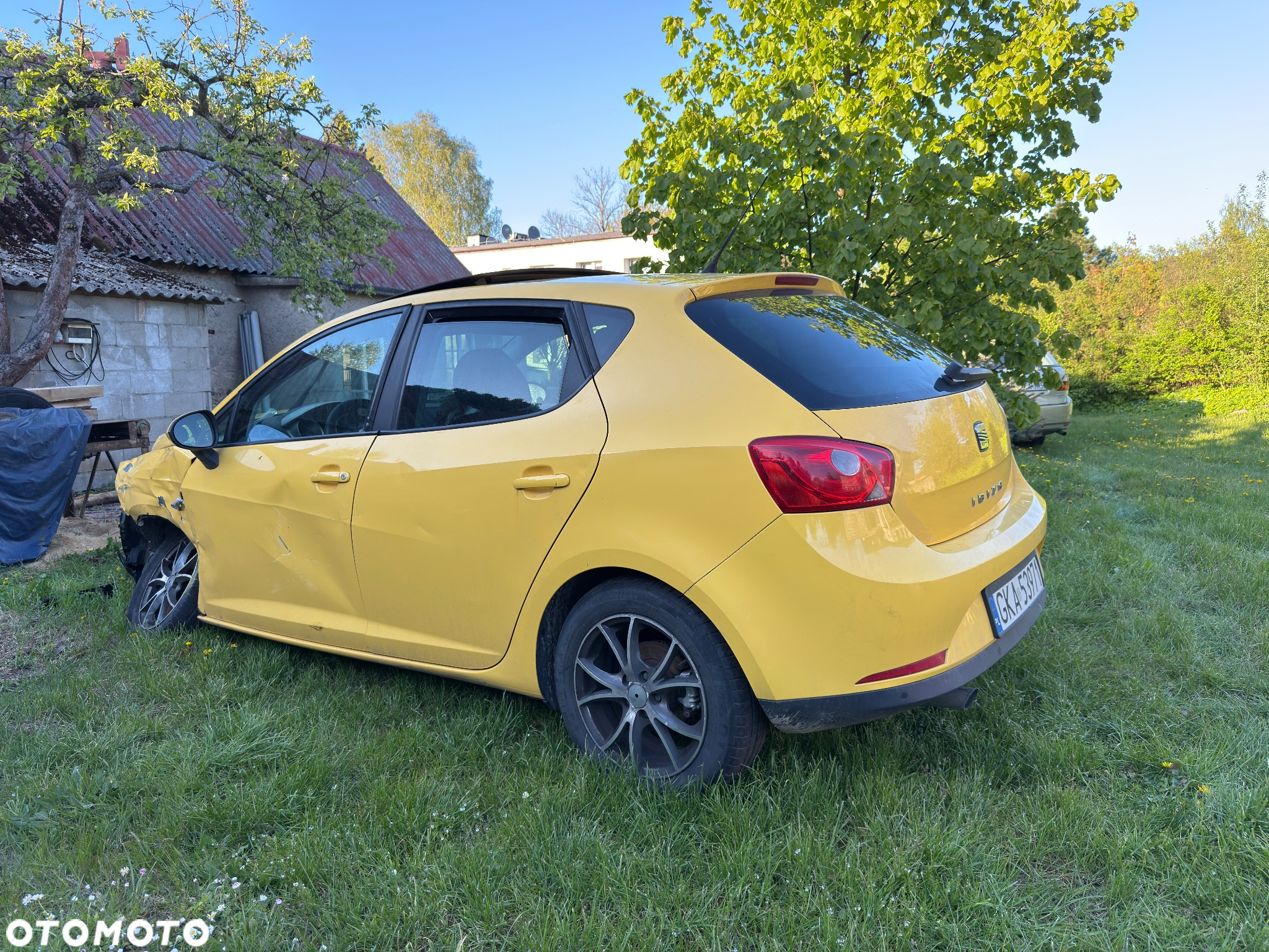 Seat Ibiza 1.9 TDI DPF Reference - 2