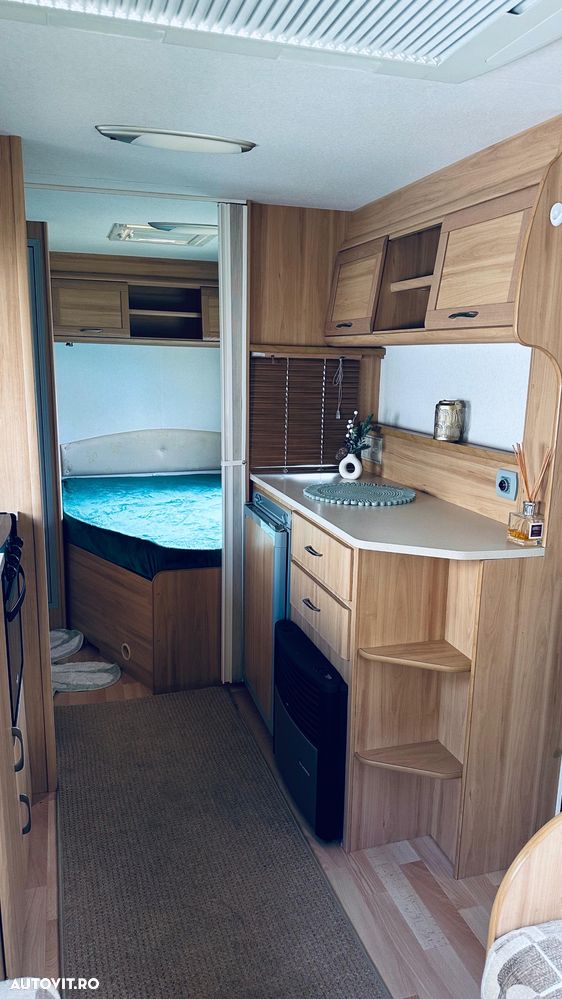 Bailey Avondale - 18