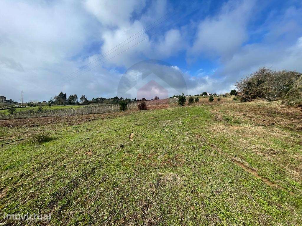 Terreno com projeto para 2 moradias e vista deslumbrante para o campo - Grande imagem: 4/20