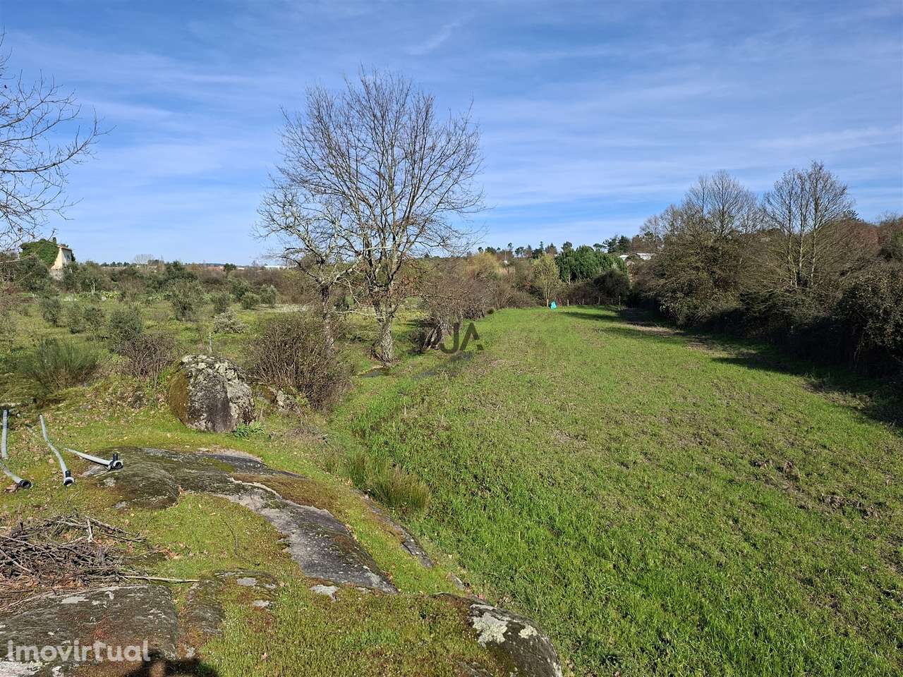 Quinta com 4,6Ha em Mangualde - Grande imagem: 5/28