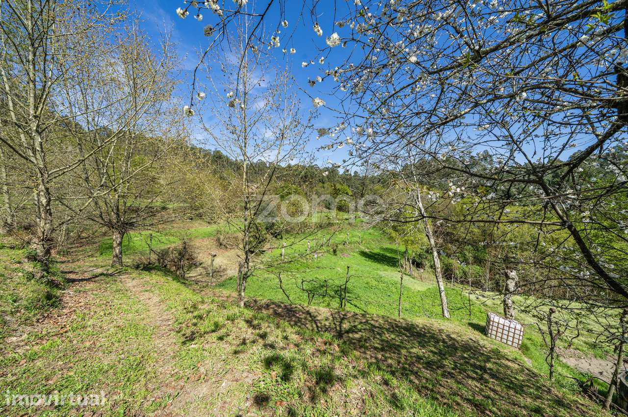 Terreno Rústico c/ 27850m² em Mesão Frio - Guimarães - Grande imagem: 5/30