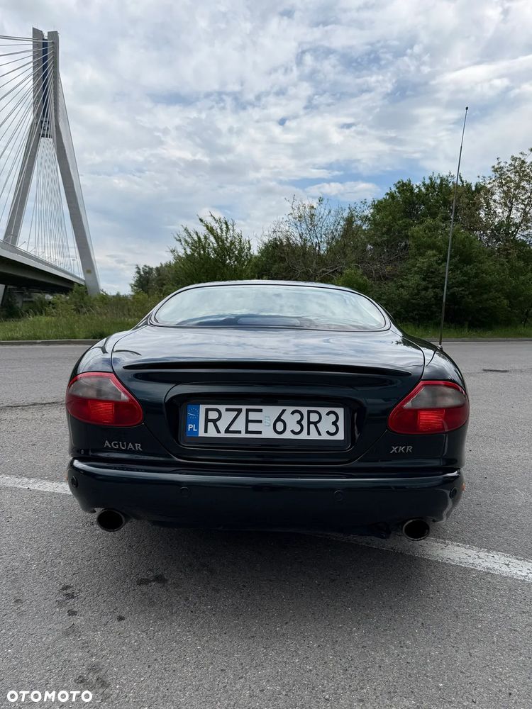 Jaguar XK - 9