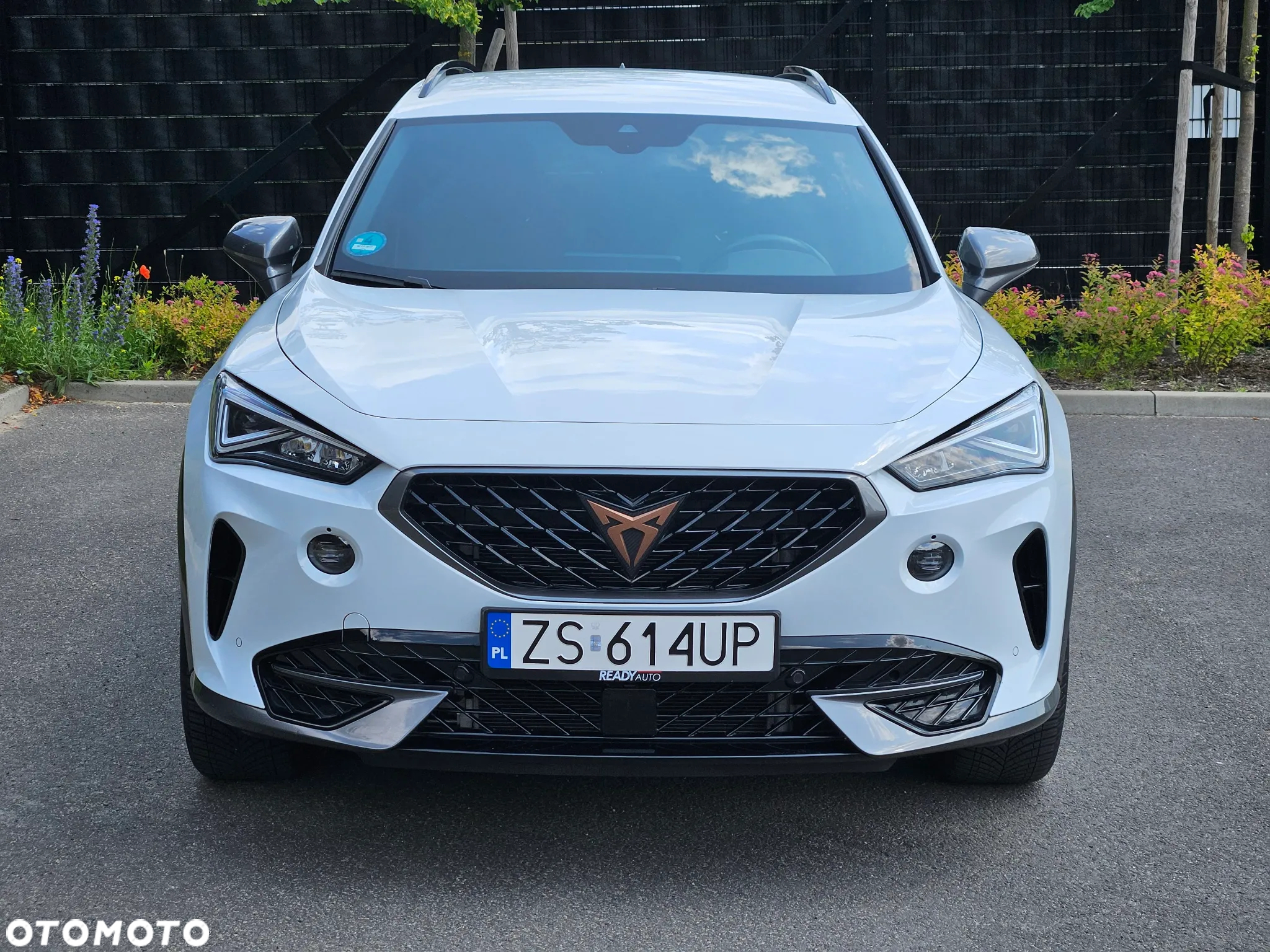 Cupra Formentor 1.5 TSI DSG - 15